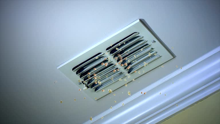Best Affordable Duct Cleaning Services  in Gilroy, CA