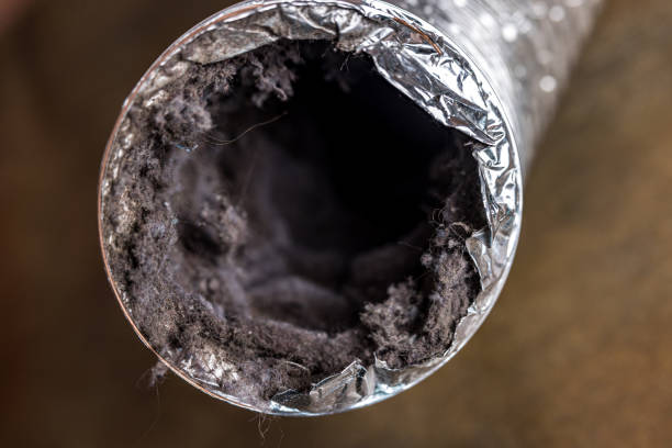 Best Affordable HVAC Duct Cleaning  in Gilroy, CA